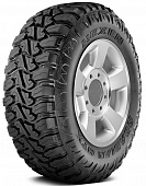 Летняя шина Nexen Roadian MTX RM7 33/12,5 R15 108Q